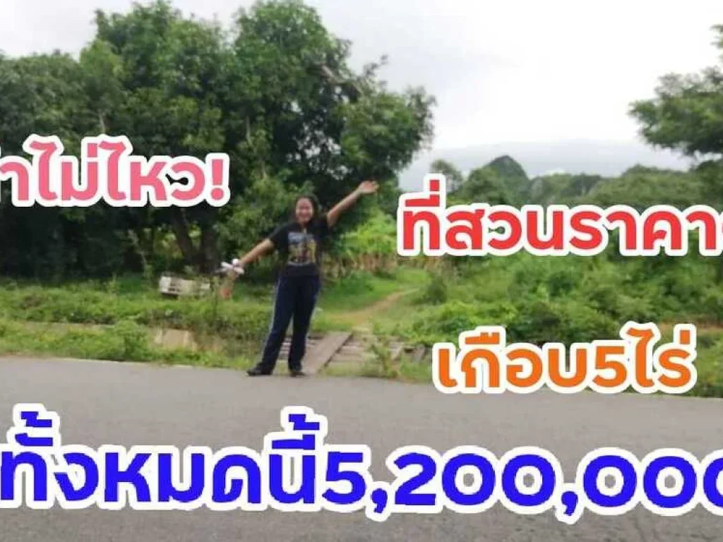 ขายที่ดินชะอำ 4-3-42ไร่ ขายที่ดินสวน ใกล้คลองชลประทาน