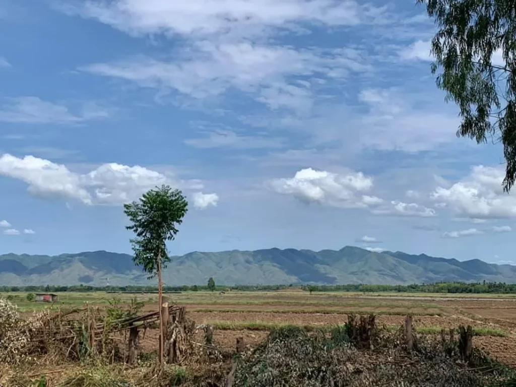 ขายที่ดินแปลงใหญ่ 156 ไร่ ทำเลดี ต ปากช่อง อหล่มสัก เพชรบูรณ์