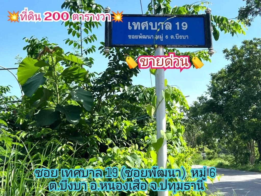 ขายด่วน ที่ดินสร้างบ้าน 200 ตารางวาติดถนนคอนกรีตสาธารณะ มีไฟฟ้าประปา ค10 อหนองเสือ