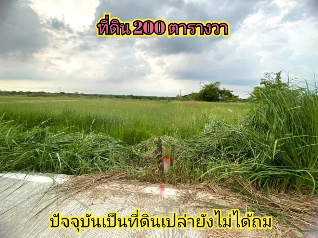 ขายด่วน ที่ดินสร้างบ้าน 200 ตารางวาติดถนนคอนกรีตสาธารณะ มีไฟฟ้าประปา ค10 อหนองเสือ