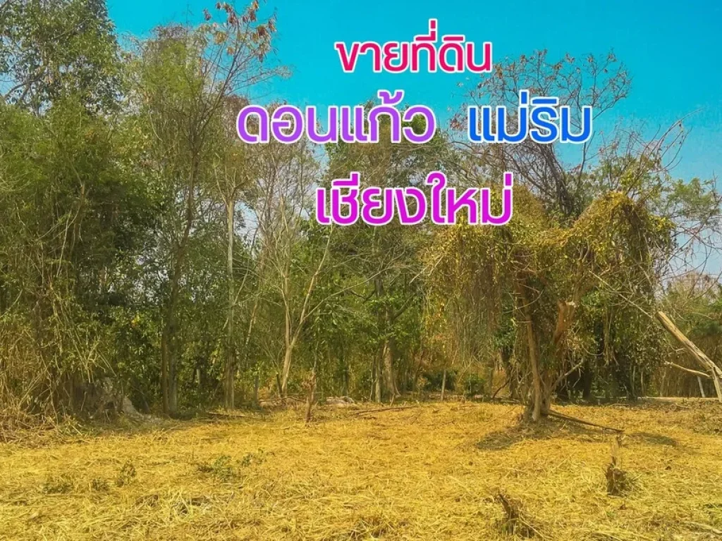 ขายที่ดิน ตำบลดอนแก้ว อำเภอแม่ริม จังหวัดเชียงใหม่ วงแหวนรอบ3 121