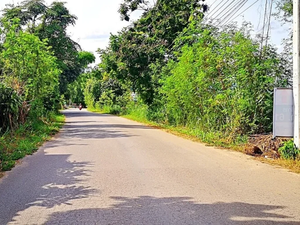 ขายที่ดินหลังแม่โจ้ ตำบลป่าไผ่ อำเภอสันทราย จังหวัดเชียงใหม่