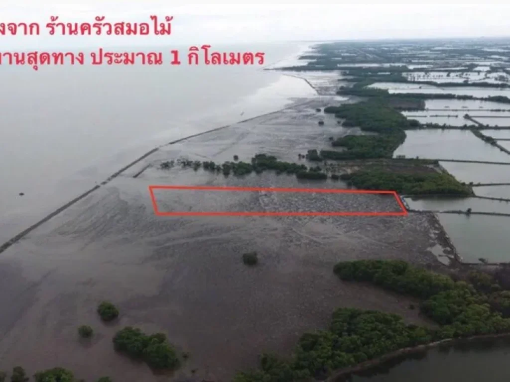 ขายที่ดินชายหาดริมทะเล อยู่คลองด่าน บางบ่อ สมุทรปราการ 7ไร่1งาน64ตรว ที่ดินเป็นโฉนด 1650ตรว