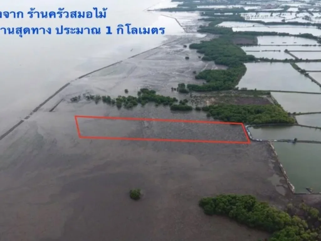 ขายที่ดินชายหาดริมทะเล อยู่คลองด่าน บางบ่อ สมุทรปราการ 7ไร่1งาน64ตรว ที่ดินเป็นโฉนด 1650ตรว