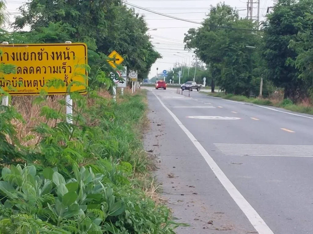 ให้เช่าที่ดิน อนครหลวง จอยุธยา ทำเล ติดริมถนน ติดคลอง ติดทุ่งนา บรรยากาศดี เหมาะทำร้านอาหาร สถานที่พักผ่อน