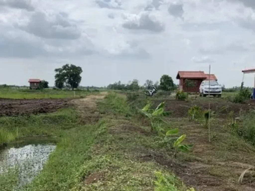 ขายที่ดิน 1 ไร่ พร้อมปลูกบ้าน ขุดบ่อถมดินเรียบร้อย เดินทางสะดวก ใกล้เจ้าพระยา 2 ในบางไทร อยุธยา