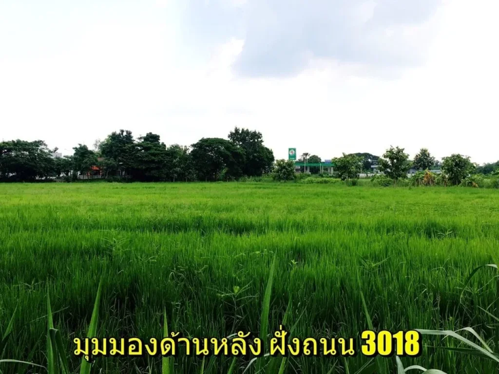 ขายที่ดิน ตำบลสันติสุข อำเภอดอยหล่อ จังหวัดเชียงใหม่