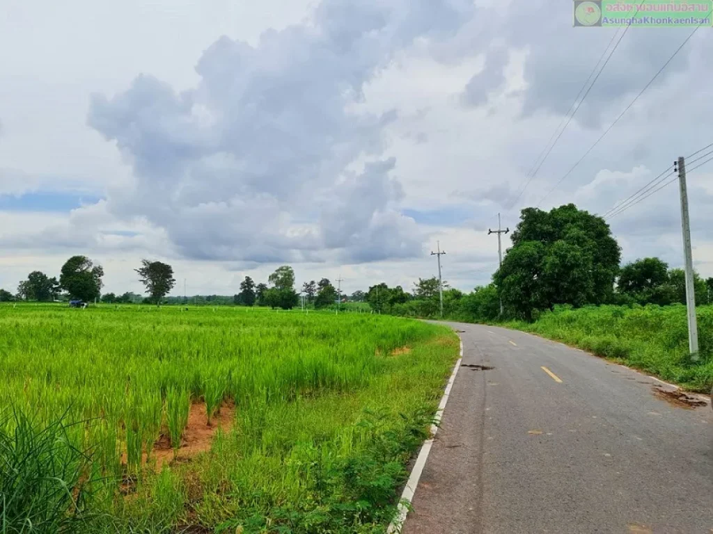 ที่ดินติดถนนพื้นดินสูงกว่าถนน เดินทางสะดวกมาก ท้ายหมู่บ้านหนองเตย ห่างตัวเมืองขอนแก่น 15 กมเท่านั้น