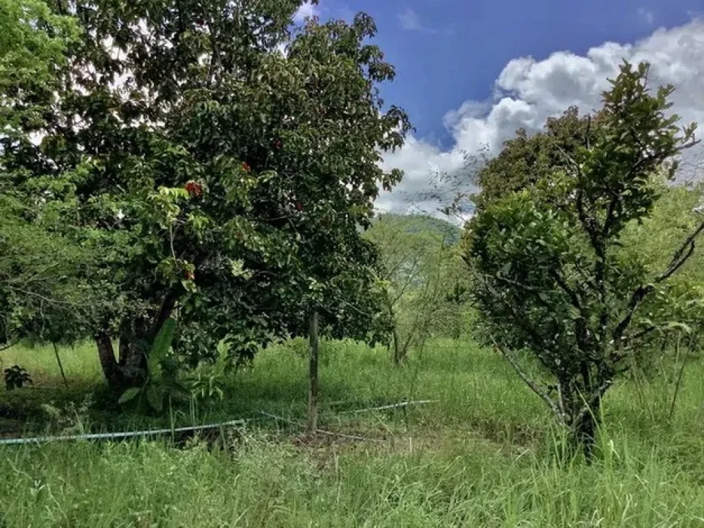 ขายที่ดินสวนผลไม้พร้อมบ้าน ใกล้เขา เหมาะสำหรับทำการเกษตร อำเภอเมืองปราจีน