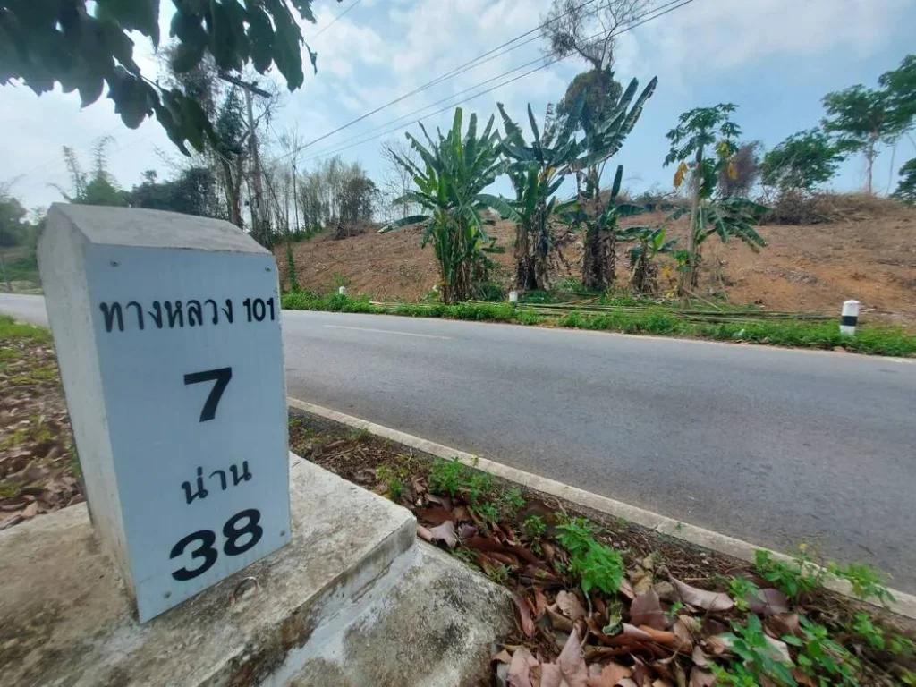 ขายที่ดินเนินสวย ด้านหน้าวิวทุ่งนา ด้านหลังวิวป่าเขา