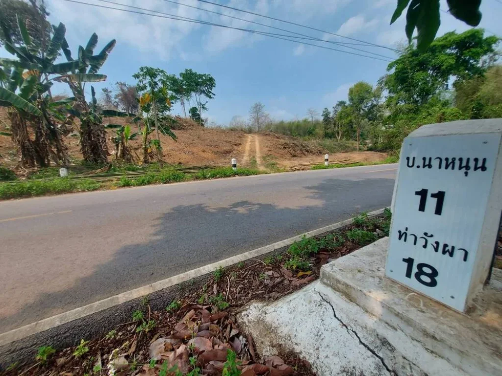 ขายที่ดินเนินสวย ด้านหน้าวิวทุ่งนา ด้านหลังวิวป่าเขา