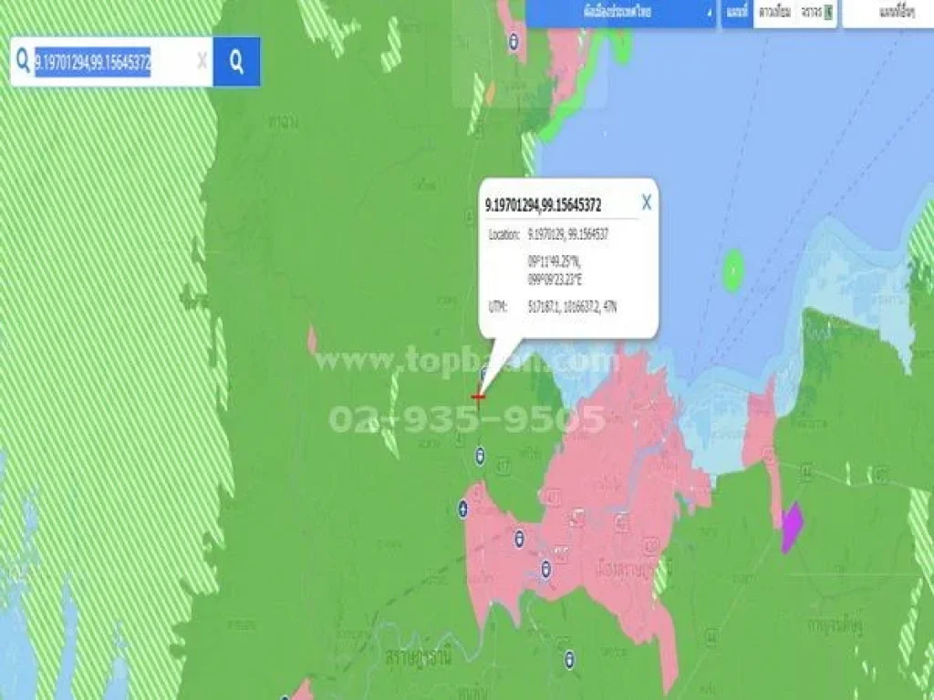 ขายที่ดิน คลองไทร ถนนหลักสายเอเชีย401 อำเภอท่าฉาง สุราษฎร์ธานี