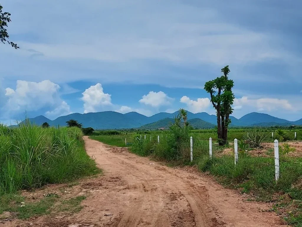 ขายที่ดินโฉนดครุฑแดง 1 งาน เพียง159000 ใกล้หัวหินเพียง20 นาที ทำเลชุมชน