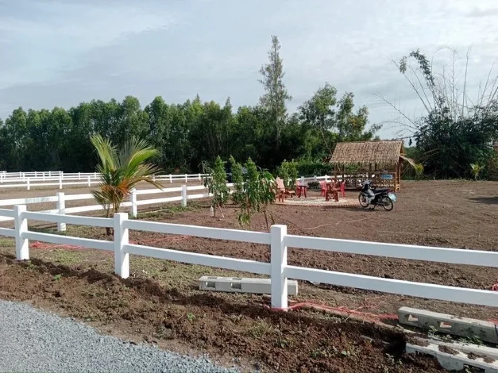 ขายที่ดิน บ้านสวนสายคลอง โครงการ 2 คลอง14 อำเภอหนองเสือ จังหวัดปทุมธานี