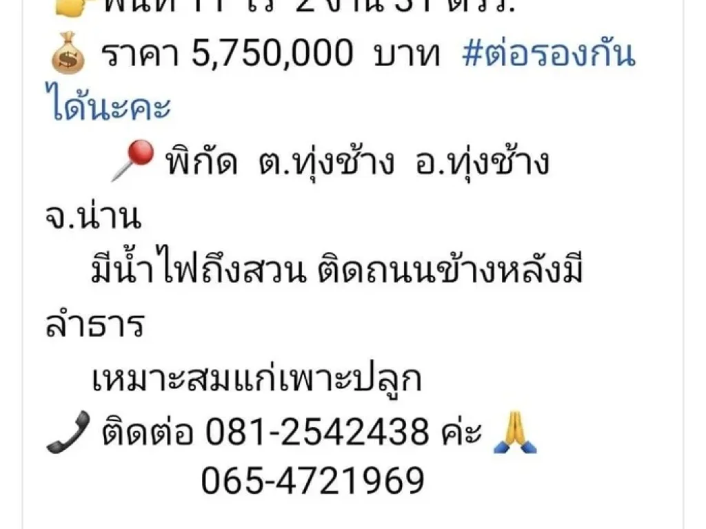 ที่ดินสวย ทุ่งช้าง น่าน ติดถนน ติดลำธาร ที่ดินโฉนด พื้นที่ 11 ไร่ 2 งาน 31 ตารางวา