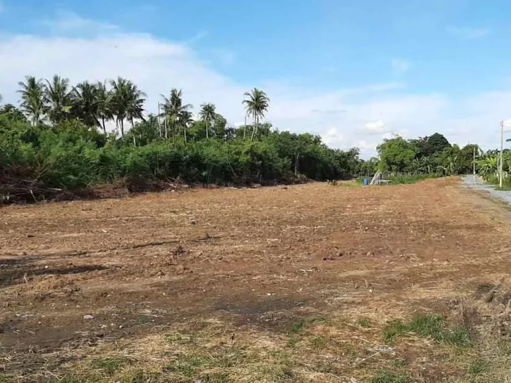 ขายที่ดินถมแล้ว ติดแม่น้ำท่าจีน ศรีประจันต์ สุพรรณบุรี