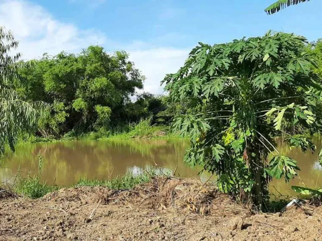 ขายที่ดินถมแล้ว ติดแม่น้ำท่าจีน ศรีประจันต์ สุพรรณบุรี