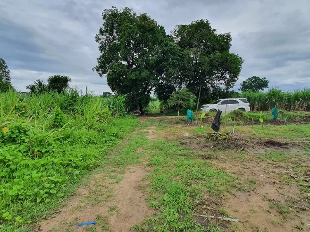 ทำเลดีเหมาะสำหรับทำหมู่บ้านจัดสรร ที่ดินถมทั้งแปลงติดทางสาธารณะ ติดคลองส่งน้ำ ใกล้ด่านเก็บเงินมอเตอร์เวย์ 3ไร่ 2 งาน