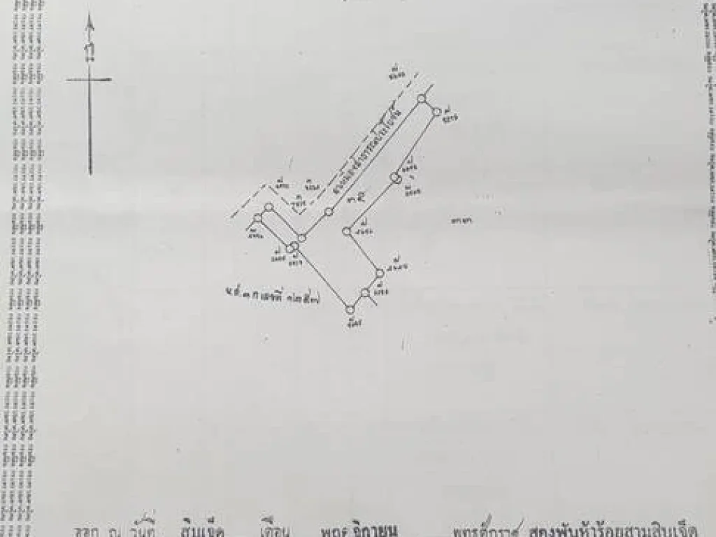 ขายที่ดินแปลงใหญ่ อเมืองลำพูน เหมาะสำหรับทำบ้านจัดสรร