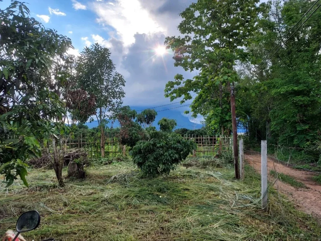 ขายที่ดินแปลงเล็ก เอกสารโฉนดเชียงดาว 1ไร่1งาน เห็นวิวดอยหลวง ขายยกแปลง 850000 บาท ห่างที่ว่าการอำเภอเชียงดาว 39km