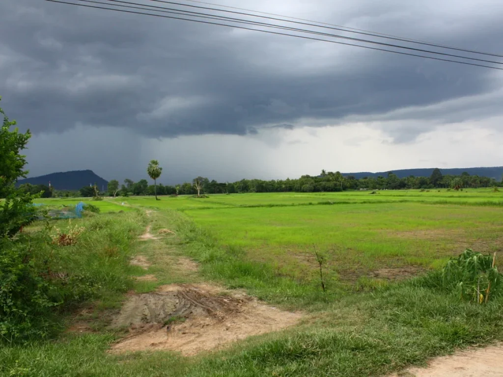 ขายที่ดิน โฉนด 26ไร่ ติดลำตะคอง ตลาดบัวขาว อสีคิ้ว