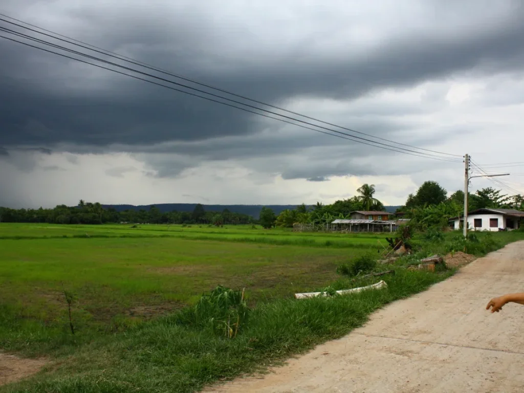 ขายที่ดิน โฉนด 26ไร่ ติดลำตะคอง ตลาดบัวขาว อสีคิ้ว