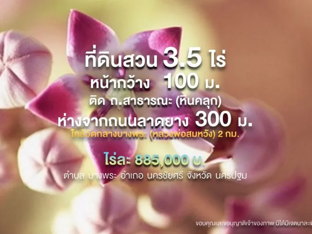 ที่ดินสวน เคยปลูกต้นรัก 35 ไร่ ๆ ละ 885000 บ หน้ากว้าง 100 มติด ถสาธารณะ ห่างจากถนนลาดยาง 300 ม