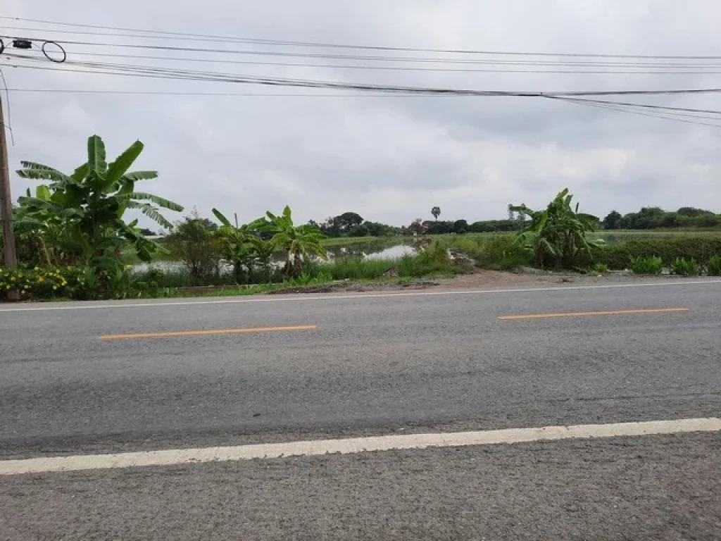 ขายที่ดินหนองจอก ติดถนนสังฆสันติสุข พื้นที่สีเขียว ตกระทุ่มราย อหนองจอก กทม