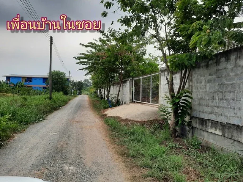 ที่ดินคลองหกใกล้ รรอุดมศึกษารังสิต ตคลองคลองหก อคลองหลวง จปทุมธานี