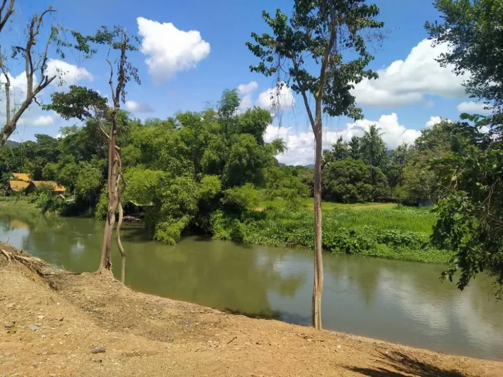 ขายที่ดินติดแม่น้ำเพชร น้ำติดถนนดำ 3410 สวยสุดปังตำบลกลัดหลวง 2-3-91 ไร่