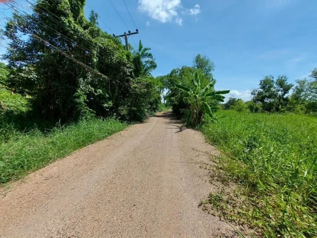 ขายที่ดินแปลงสวย ใกล้มหาวิทยาลัยการกีฬาแห่งชาติ รังสิตใต้ ธัญบุรี