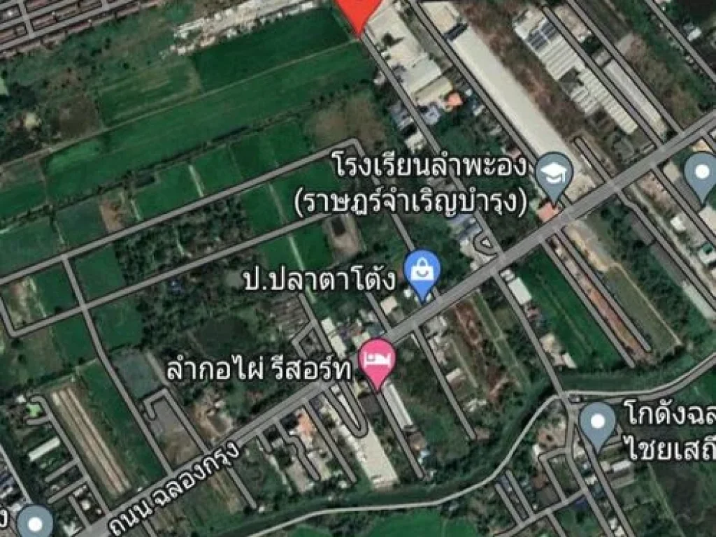 ขายที่ดิน 82-3-21ไร่ ถนนฉลองกรุง ซอย 53 ใกล้นิคมอุตสาหกรรม - ลาดกระบัง แขวงลำปลาทิว เขตลาดกระบัง กรุงเทพๆ