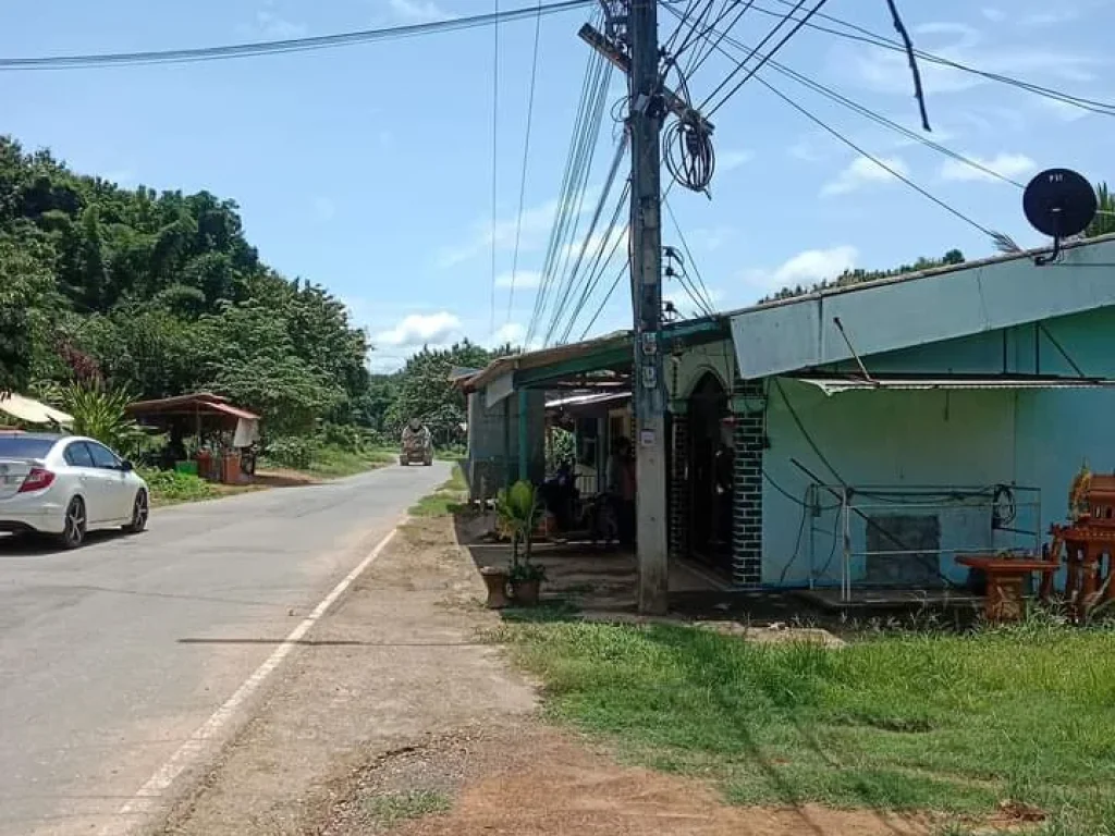 บ้านพร้อมที่ดิน โฉนด ติดถนนลาดยาง กลางชุมชน ค้าขายได้ ขายเพียง 5 แสนบาทเท่านั้น