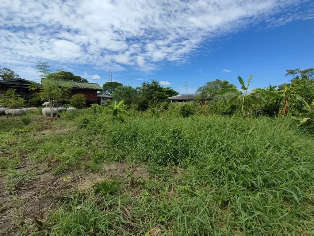 ขายที่ดินสวยถูก ติดถนนสุขุมวิท-คลองด่าน เหมาะทำโครงการบ้านจัดสรร