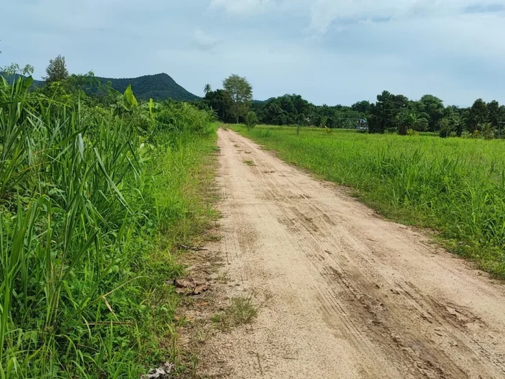 ขายที่ดินติดแม่น้ำเพชรบุรี 7 ไร่ แปลงสวย วิวเขาใน ตกลัดหลวง