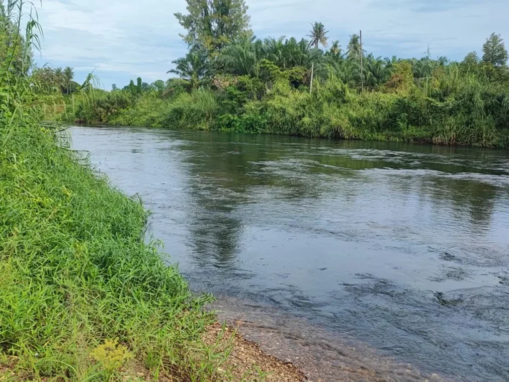 ขายที่ดินติดแม่น้ำเพชรบุรี 7 ไร่ แปลงสวย วิวเขาใน ตกลัดหลวง