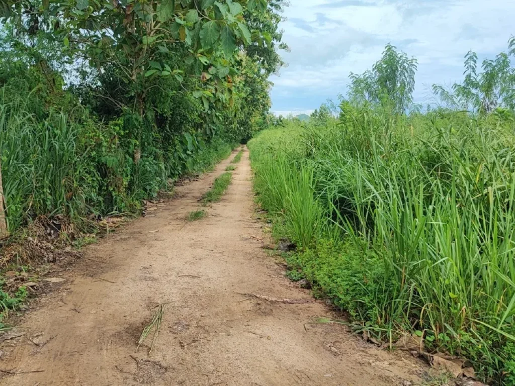 ขายที่ดินติดแม่น้ำเพชรบุรี 7 ไร่ แปลงสวย วิวเขาใน ตกลัดหลวง