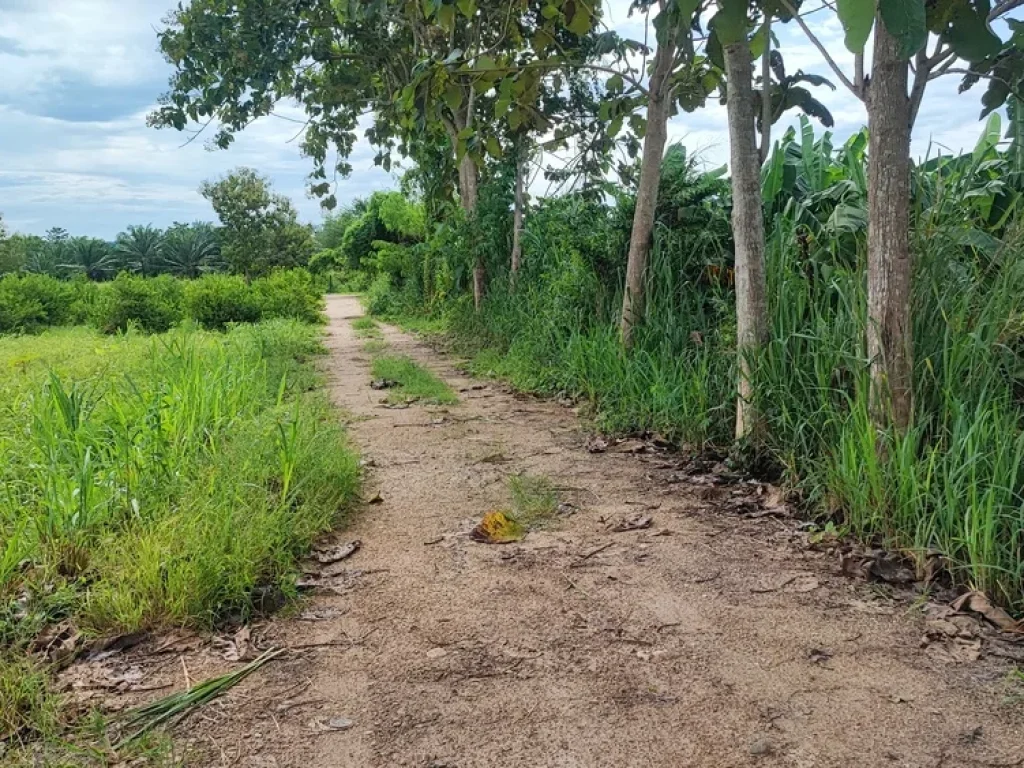 ขายที่ดินติดแม่น้ำเพชรบุรี 7 ไร่ แปลงสวย วิวเขาใน ตกลัดหลวง