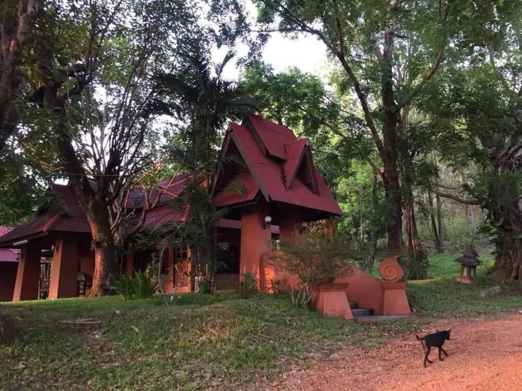 ขายถูก เหมือนให้ฟรี ที่ดินผืนใหญ่223ไร่ พร้อมบ้านบนเนินเขาสูงสุดของพื้นที่ อพร้าว เชียงใหม่ วิวภูเขา ที่สวนขนาดใหญ่ คุ้ม Chiangmai Land for sale