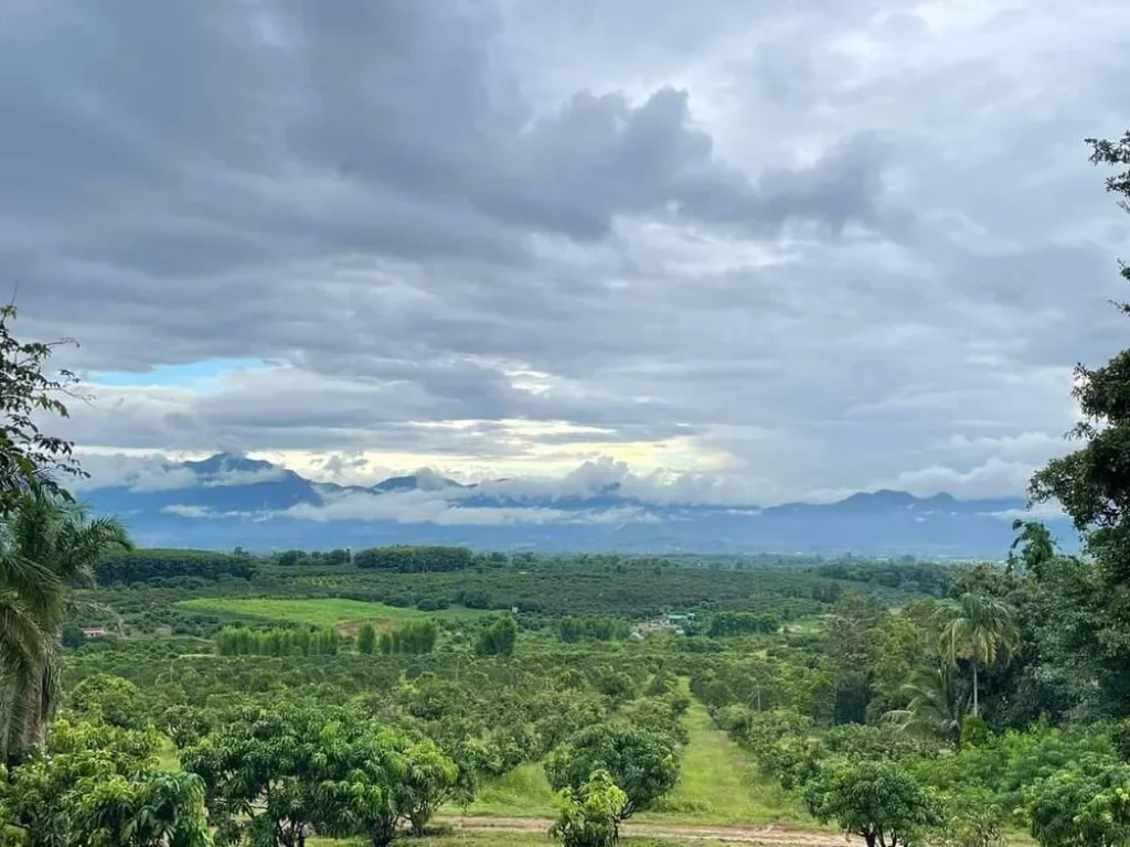 ขายถูก เหมือนให้ฟรี ที่ดินผืนใหญ่223ไร่ พร้อมบ้านบนเนินเขาสูงสุดของพื้นที่ อพร้าว เชียงใหม่ วิวภูเขา ที่สวนขนาดใหญ่ คุ้ม Chiangmai Land for sale