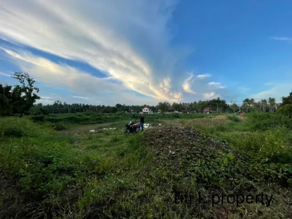 ขายที่ดินติดทางหลวง 401 สาย สุราษฎร์ธานี นครศรีธรรมราช ขนาด 4 ไร่ ทำเลดี ทางไปวัดเจดีย์