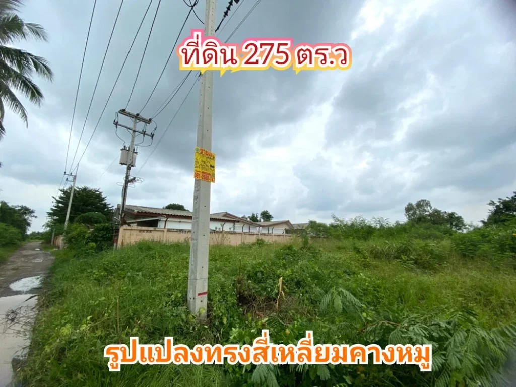 ขายที่ดิน 275 ตารางวาติดถนนบางบัวทอง-สุพรรณบุรี340 เยื้องโรงงานเถ้าแก่น้อยอลาดหลุมแก้ว