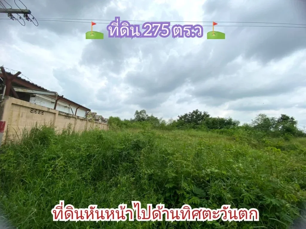 ขายที่ดิน 275 ตารางวาติดถนนบางบัวทอง-สุพรรณบุรี340 เยื้องโรงงานเถ้าแก่น้อยอลาดหลุมแก้ว