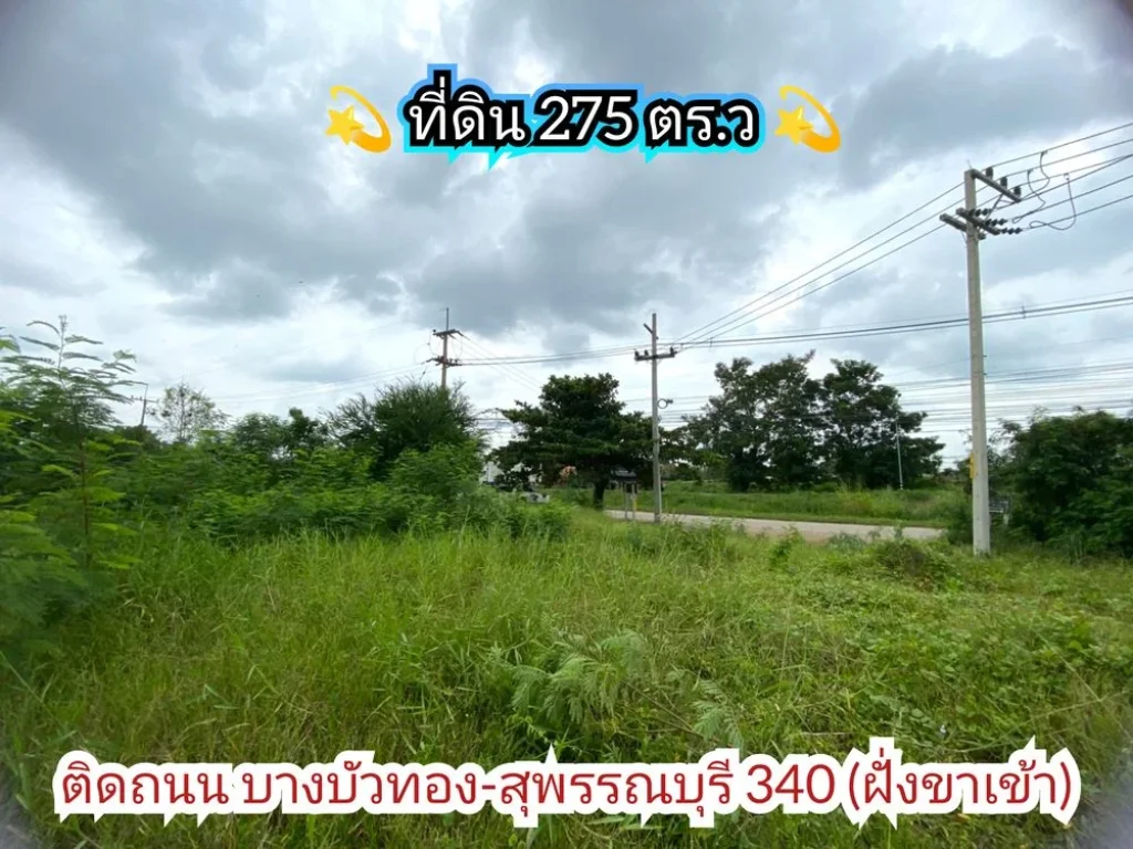 ขายที่ดิน 275 ตารางวาติดถนนบางบัวทอง-สุพรรณบุรี340 เยื้องโรงงานเถ้าแก่น้อยอลาดหลุมแก้ว