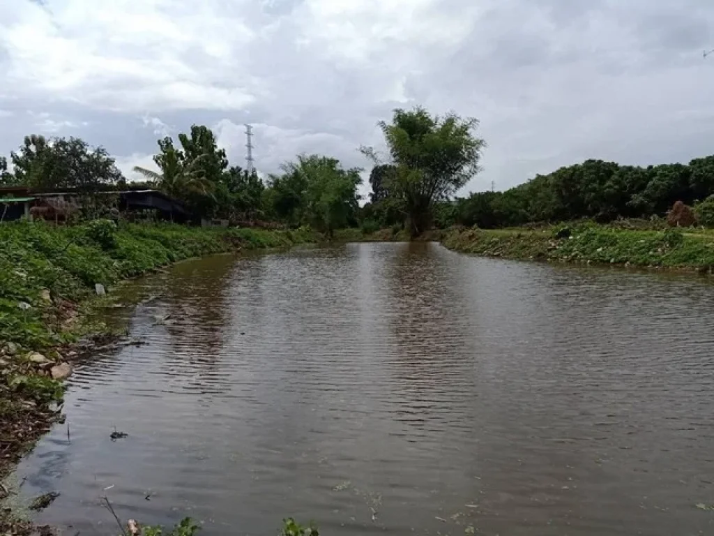 ขายที่ดินพร้อมบ้านติดแม่น้ำ 1งาน 965000บาท ถนนหัวแค่ทุ่งยาว ตศรีบัวบาน อเมือง ลำพูน