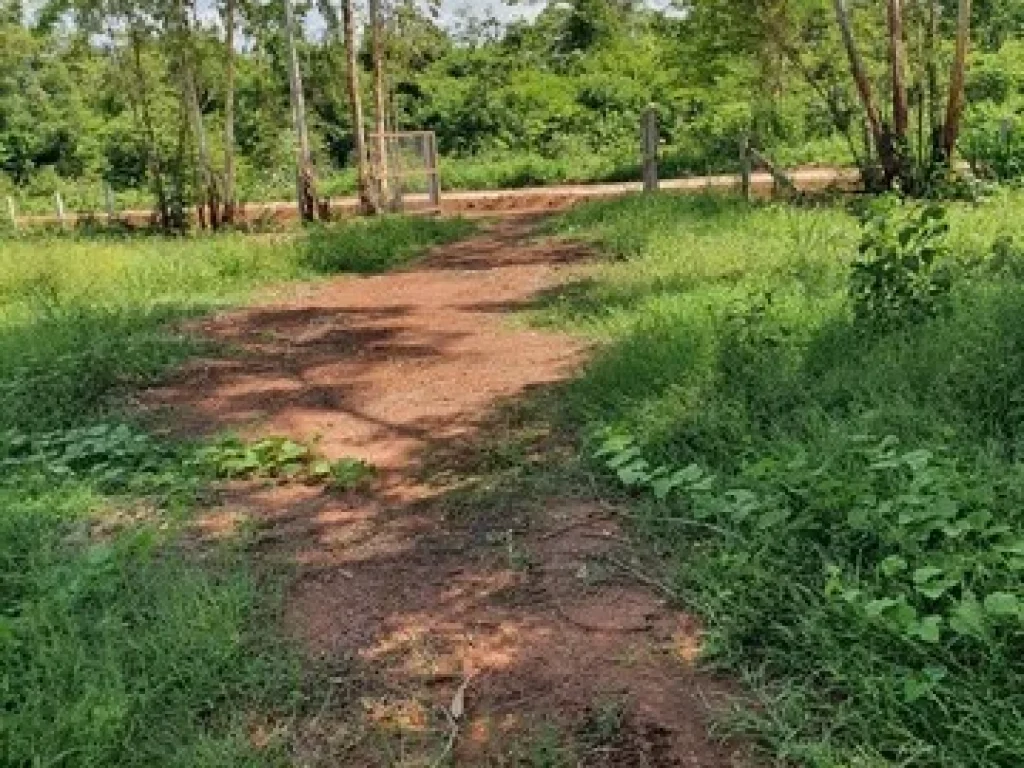 ขายด่วนที่ดิน เหมาะสำหรับทำบ้านสวน ตำบลเชียงเครือ อำเภอเมืองสกลนคร จังหวัดสกลนคร