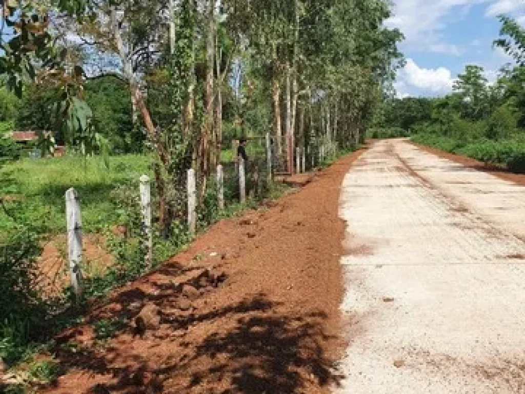 ขายด่วนที่ดิน เหมาะสำหรับทำบ้านสวน ตำบลเชียงเครือ อำเภอเมืองสกลนคร จังหวัดสกลนคร