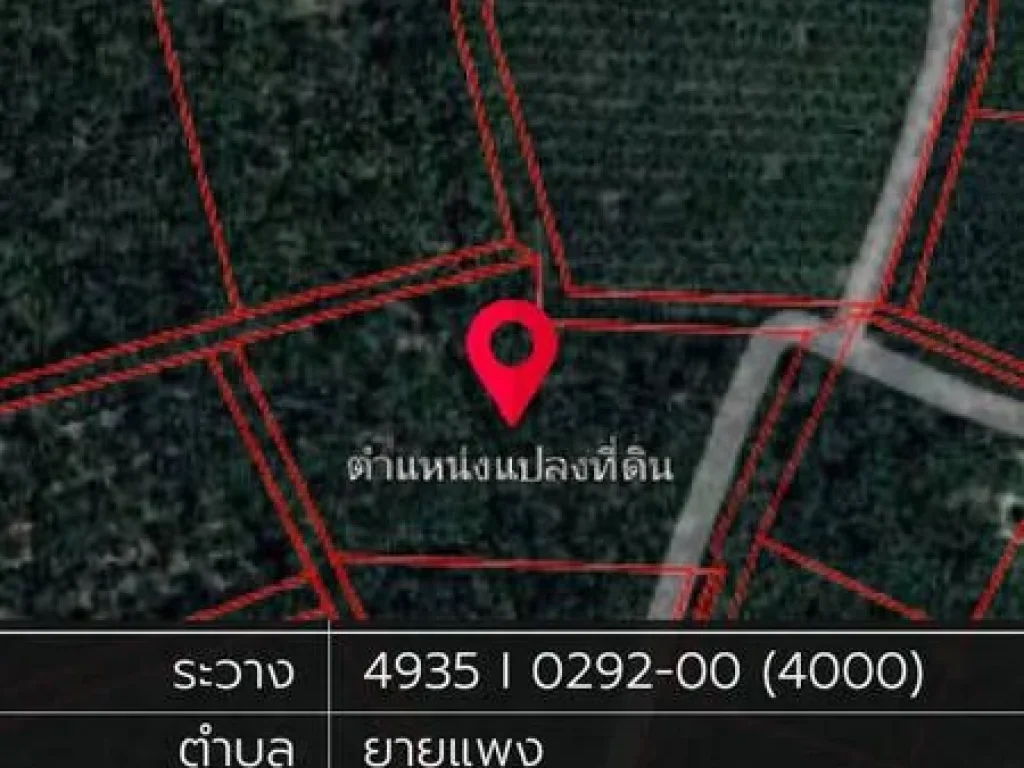 ที่ดินสวนมะพร้าวมีโฉนดสวยๆ 6 ไร่ 1 งาน 75 ตรว ตยายแพง