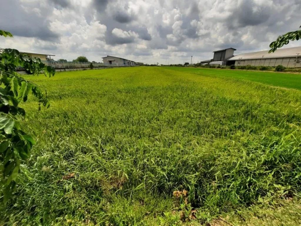 ขายที่ดินคลองเจ็ด ติดถนนธัญบุรี-วังน้อย คลองหลวง จปทุมธานี