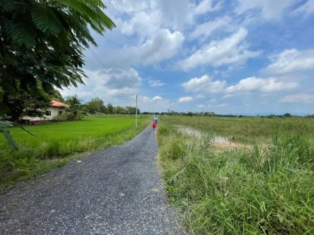 ที่ดินนครนายก ที่ดินบ้านนา บ้านพริก สวยสุด ทำเลดีสุด วิวเขา ติดคลอง ลมพัดเย็นตลอดเวลา ซื้อวันนี้ ฟรีโอน